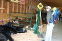 Picture 005